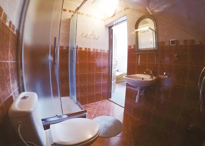 民宿 Dw Basia I Bialka Tatrzanska